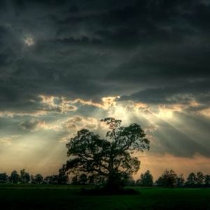 Meet your Posher, Saundra